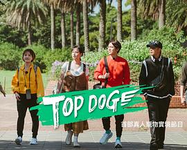 麻豆影视《TOP DOG》免费在线观看