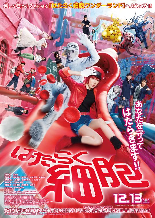 麻豆官网《工作细胞 真人版 はたらく細胞》免费在线观看