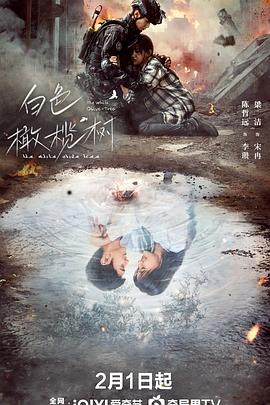麻豆影院《白色橄榄树》免费在线观看