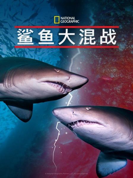 麻豆影视《鲨鱼大混战》免费在线观看