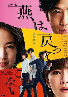 麻豆官网《燕子不再归来》免费在线观看