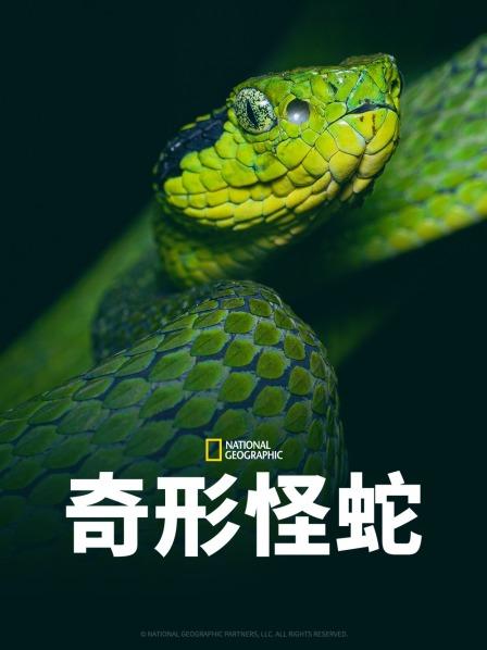 麻豆影院《奇形怪蛇》免费在线观看